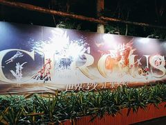 -广州长隆国际大马戏