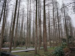 -东平国家森林公园