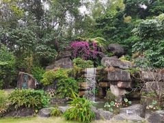 -广州神农草堂中医药博物馆