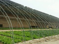 android_upload_pic-万源龙顺度假庄园生态观光园