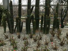 -祥源·阜阳生态乐园