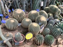 -国家植物园南园