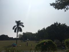 -东莞植物园