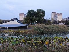 -竹西公园