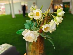 -中国农科院国家农业科技展示园