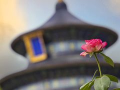 -天坛公园
