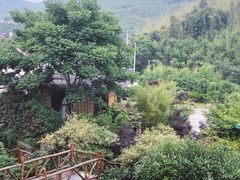 -看见远方·莫干遥远的山民宿