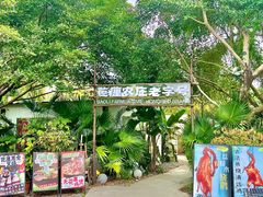 -芭厘农庄老字号·清远鸡