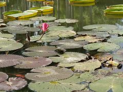 -中国科学院西双版纳热带植物园