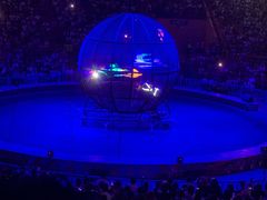 -俄罗斯国家大马戏团