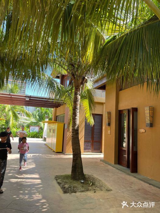 亚马逊丛林水乐园图片