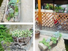 -山菌美食苑(振兴路店)