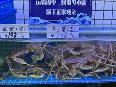 -震海贝烤贝·民俗特色店(延吉总店)
