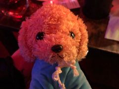 -南京天堂隔壁酒吧