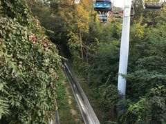 -富斯特索道
