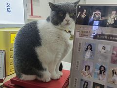 -云城照相馆(龙湖雨山天街店)