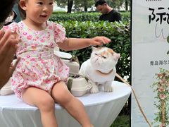 -青岛海尔洲际酒店