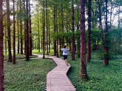 -国家植物园南园