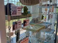 -猫的天空之城概念书店(北戴河蔚蓝海岸店)