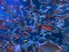 -成都浩海立方海洋公园