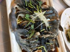 -京北渔家傲