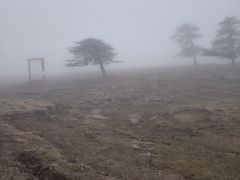 -芦芽山旅游度假区