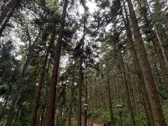 -天姥山景区