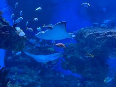 -海合安成都极地海洋公园
