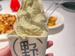 -野人先生现做冰淇淋(西安赛格店)