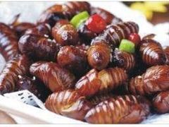 干炸蚕蛹-白天鹅家宴·东北菜