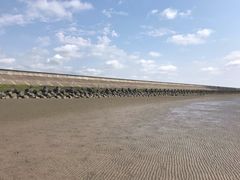 -南汇嘴观海公园