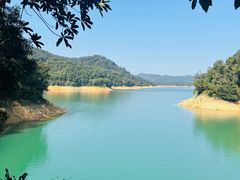 -广州市流溪河国家森林公园