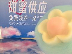 -深圳龙华星河COCO City(民治店)