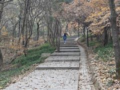 -虞山风景区