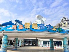 -海合安成都极地海洋公园