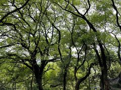 -岳麓山风景名胜区