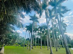 -中国科学院西双版纳热带植物园