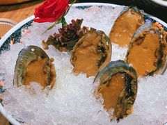 手工冰镇鲍鱼-木棉·醉心粤味(COCO Park店)