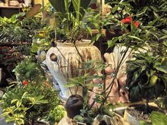 -广西壮族自治区药用植物园