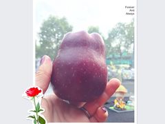 -上海大学生体育中心游泳馆(松江店)