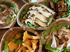 -滇野云南野生菌餐厅(陕西南路店)