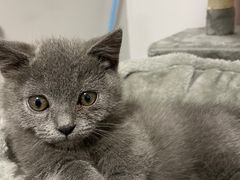 -佳雯宠物医院·皮肤科·内外科(春晓路分院)