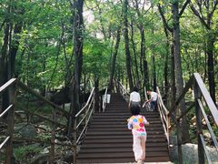 -沂蒙山旅游区云蒙景区(蒙山国家森林公园)