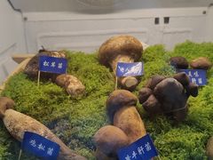 -束河人家(南锣鼓巷店)