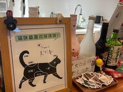 -有猫主题·治愈系猫咖(曾厝垵店)