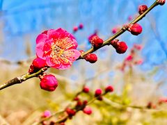 -敬亭山风景名胜区