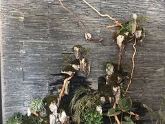 -素心茶房(小寨店)