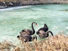 -芭东小镇温泉