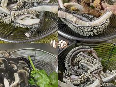 -富源杨记牛肉馆