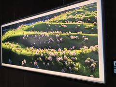 -罗红摄影艺术馆